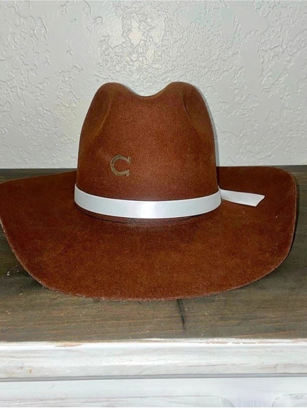 Charlie 1 Horse